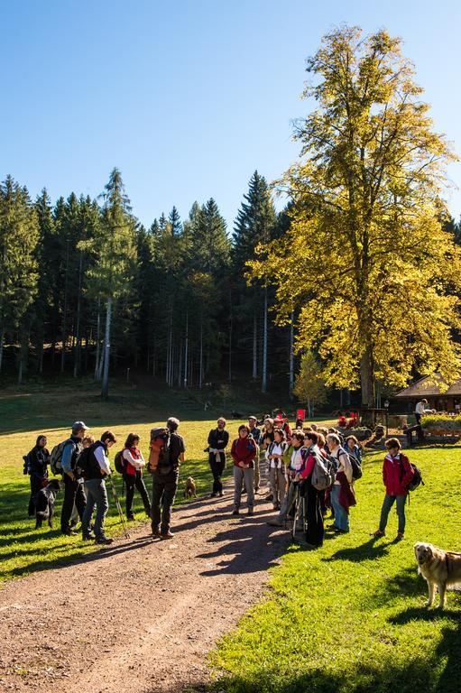 Hostel L'Ost - Ostello Di Grumes Экстерьер фото